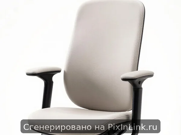 Ergo Pro Office Chair